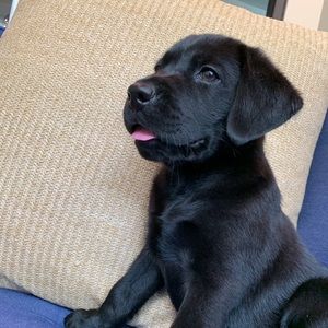 Meet your Posher, Alicia